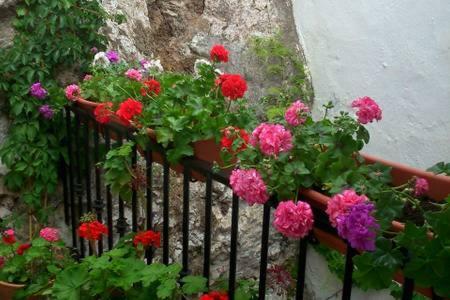 Casa Con Encanto, Escapadas Romanticas سالوبرينيا المظهر الخارجي الصورة